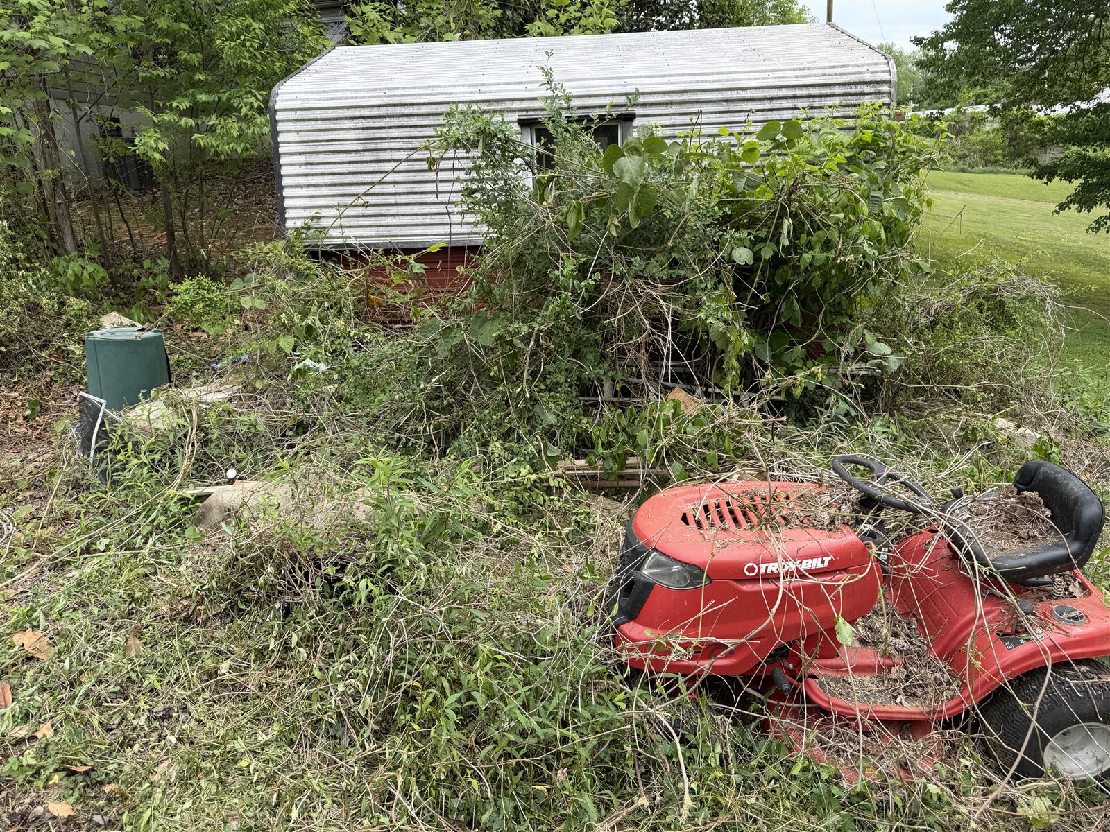 Overgrowth so thick it swallowed a riding mower
