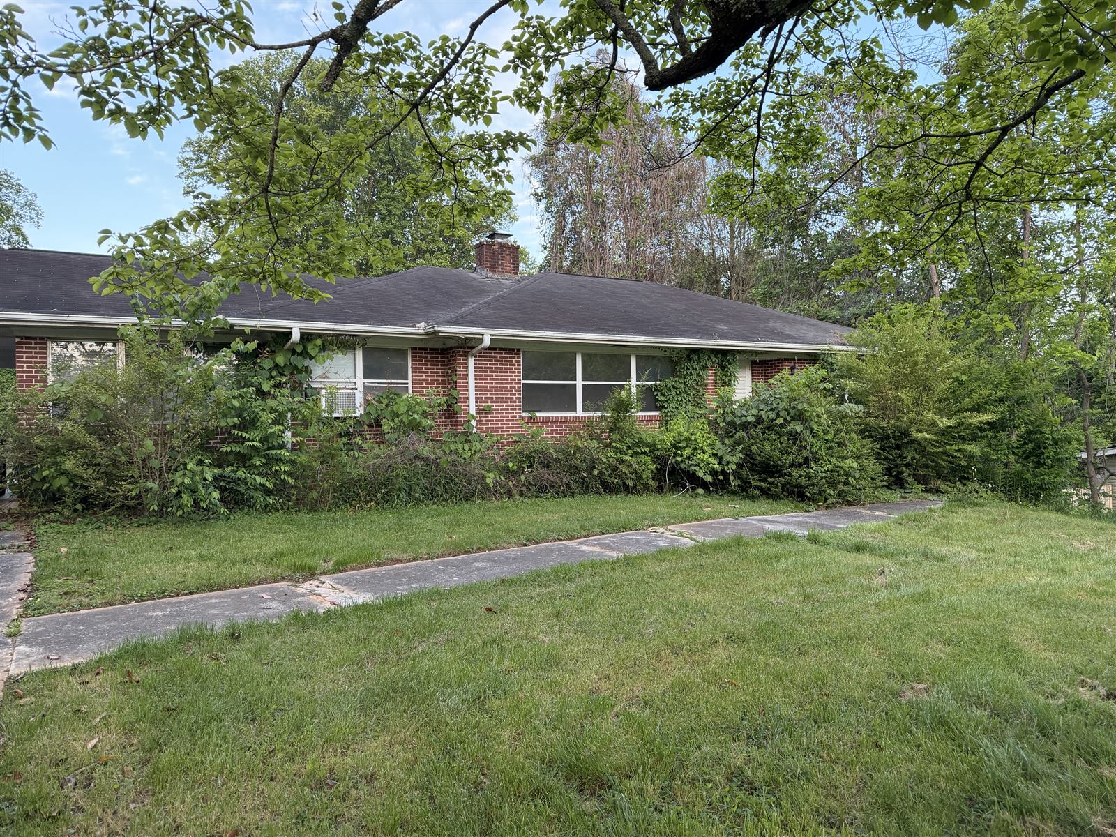 Before: house with bushes and vines swallowing the windows