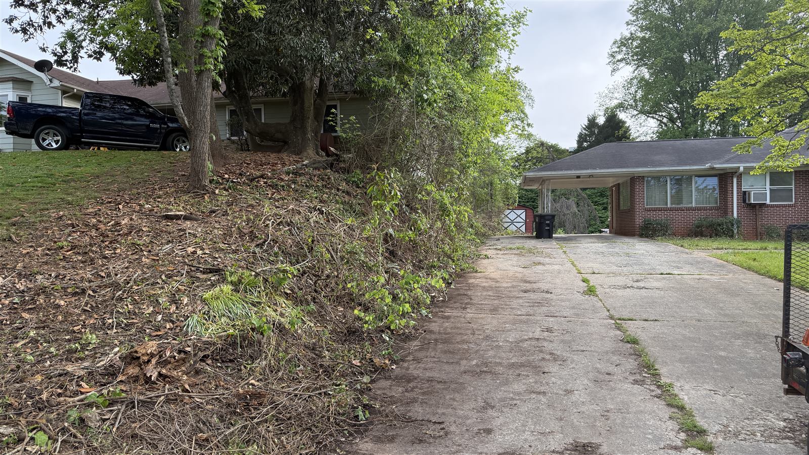 Driveway edge with brush cut and cleared