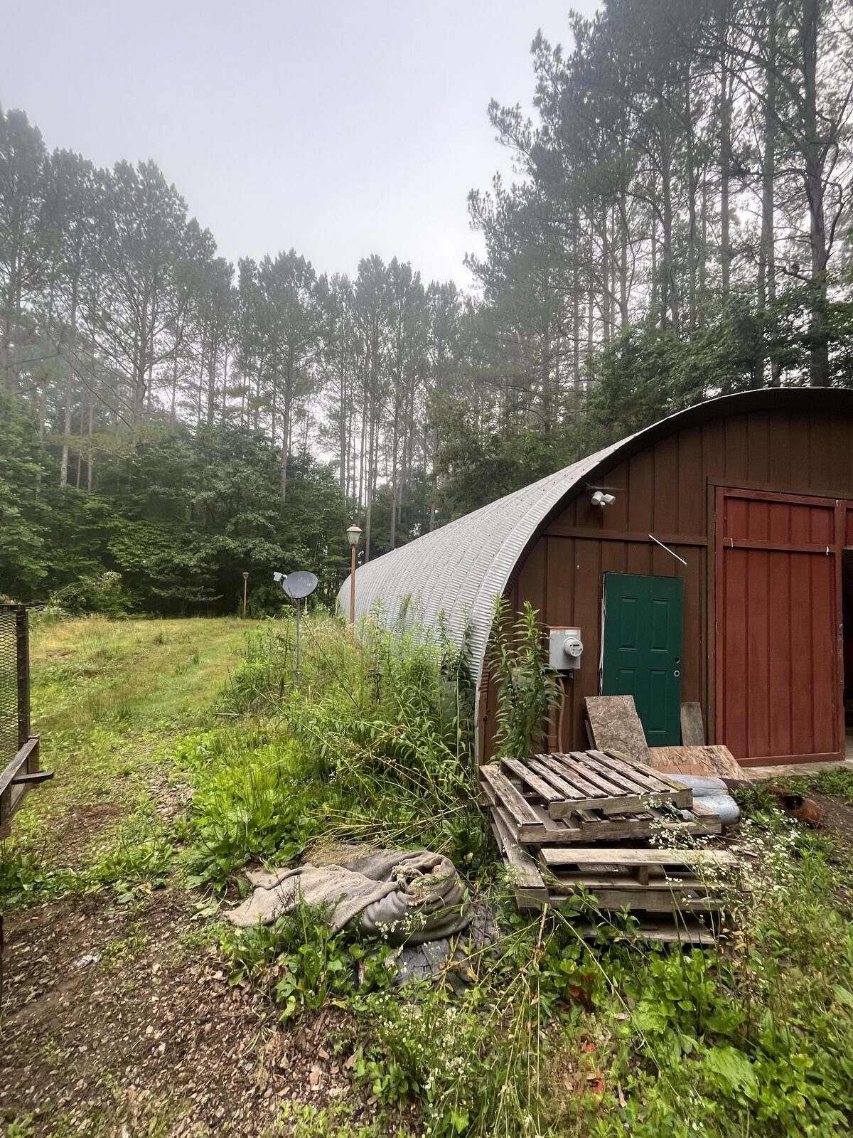 Building surrounded by tall overgrown grass and weeds